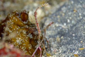 Thumbnail of post image 030