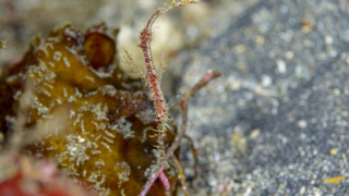 Thumbnail of post image 080