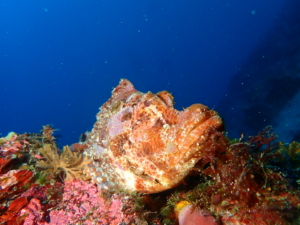 Thumbnail of post image 107