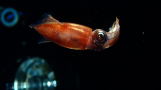 Thumbnail of post image 123