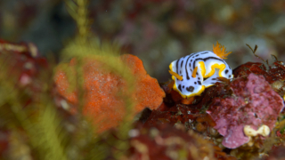 Thumbnail of post image 062