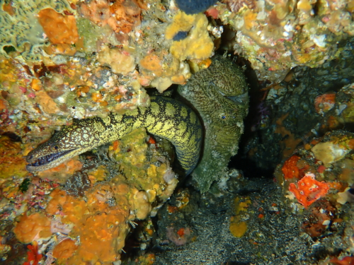 冬でも楽しい秋の浜